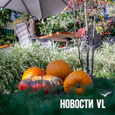 Сегодня во Владивостоке без осадков и до +16 °C