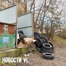 200 рублей за шину или выкинуть в лес: Владивосток снова завалили старыми покрышками в сезон смены резины (ФОТО)