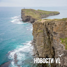 Стая дельфинов устроила в воскресенье получасовое &laquo;шоу&raquo; возле мыса Тобизина (ВИДЕО)