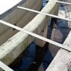 Фото: парки Владивостока — newsvl.ru
