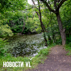 Проект парка на 10 гектаров во Владивостоке с утками-мандаринками и лыжной трассой разработает компания из Красноярска