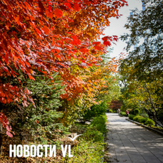 Сегодня во Владивостоке сильный ветер и до +6 °C