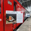 Электропоезд серии «Зарянка» (ЭПЗД). Фото: «Экспресс Приморья» — newsvl.ru