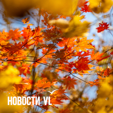 Сегодня во Владивостоке до +12 °C