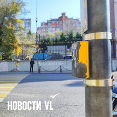 В районе &laquo;Прапорщика Комарова&raquo; сломалась кнопка светофора с одной стороны Океанского проспекта – пешеходы кричат через дорогу или бегут на красный 