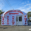  — newsvl.ru