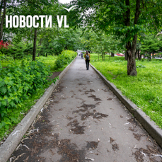 Новые тропы, защитное озеленение, спортивная и детская площадки: проектировать сквер на Магнитогорской будет компания из Красноярска