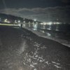 Зарубино. Фото: телеграм-канал «Славянское телевидение» — newsvl.ru