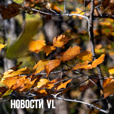 Сегодня во Владивостоке до +14 °C